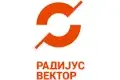 Radijus Vektor